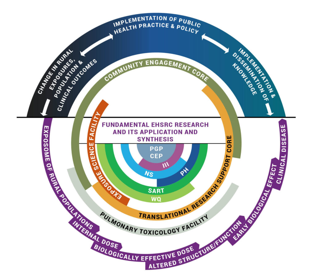 Conceptual Framework for the EHSRC illustrating how we move research along the NIEHS Translational Research Framework from fundamental research to the implementation of knowledge, implementing public health practice, and changes in population exposures and clinical outcomes. The Population Health (PH), Innate Immunity and Inflammation (III), Systemic and Redox Toxicology (SART), Nanoscience (NS), and Water Quality (WQ) Thematic Areas serve as our Center’s intellectual hubs. Fundamental and translational research, as well our career enhancement activities, are supported by the Center Facilities. The Community Engagement Core (CEC) and Integrated Health Sciences Facility Core (IHSFC) facilitate the communication with our audiences. The Pilot Grant Program (PGP) and the Career Enhancement Program (CEP) play an important role in bringing Center members together.