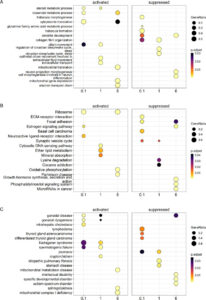 Fig. 5 from "Interactions of Polychlorinated Biphenyls and Their Metabolites with the Brain and Liver Transcriptome of Female Mice" by Bullert et al. (Lehmler lab): Gene set analysis comparison conducted for striatum samples of females orally exposed to the MARBLES mix.